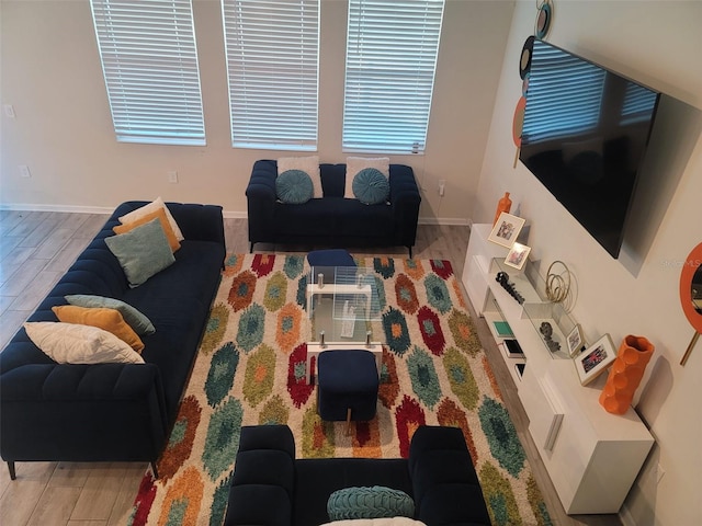 living room with hardwood / wood-style flooring