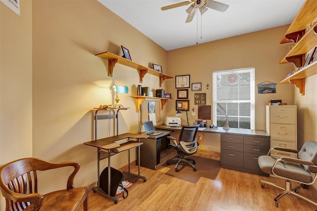 office area featuring ceiling fan and light hardwood / wood-style flooring