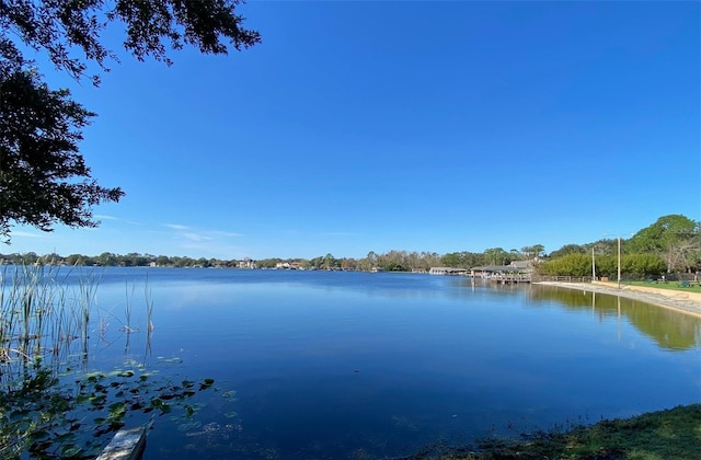 property view of water