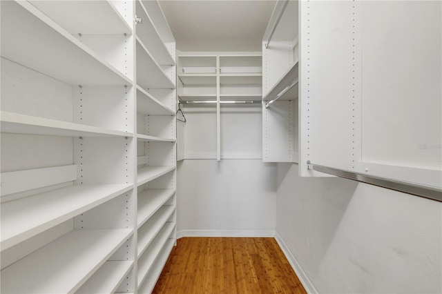 walk in closet featuring hardwood / wood-style floors