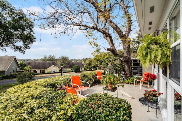 view of yard with a patio area