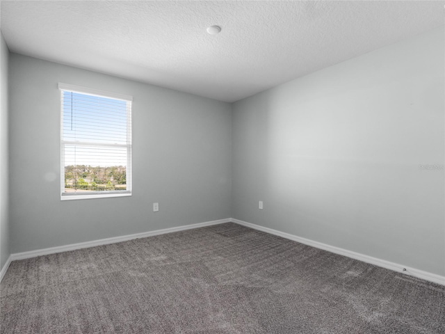 empty room with carpet flooring and a textured ceiling