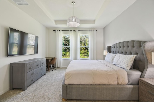 carpeted bedroom featuring a tray ceiling