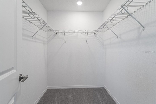 spacious closet with carpet flooring