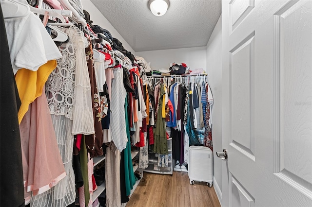 spacious closet with hardwood / wood-style floors