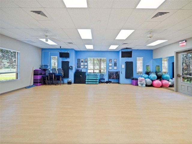 interior space with a wealth of natural light, a paneled ceiling, ceiling fan, and light hardwood / wood-style flooring