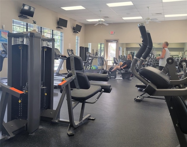 exercise room featuring a drop ceiling and ceiling fan