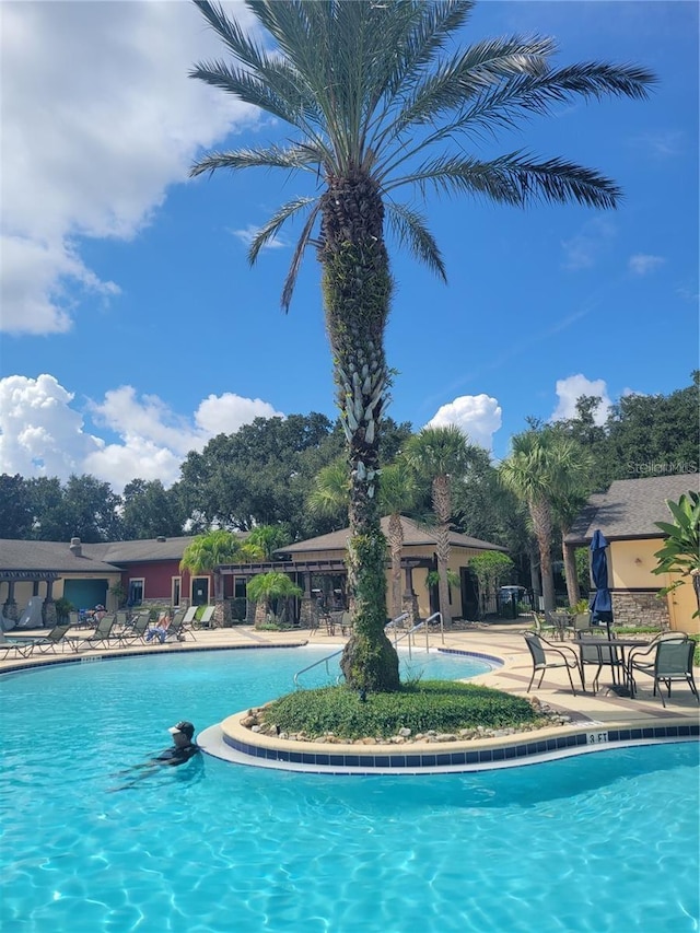 view of pool featuring a patio area