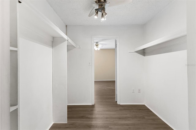 walk in closet with dark hardwood / wood-style flooring and ceiling fan