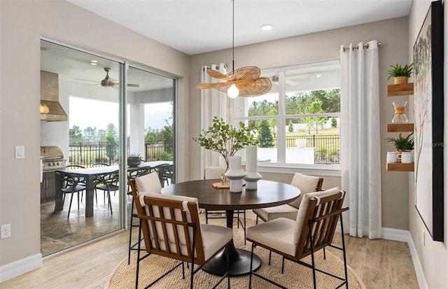 dining area featuring ceiling fan and light hardwood / wood-style flooring