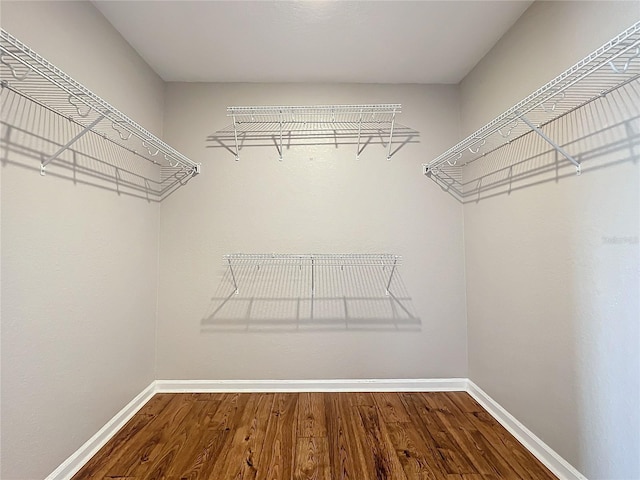 walk in closet with hardwood / wood-style floors