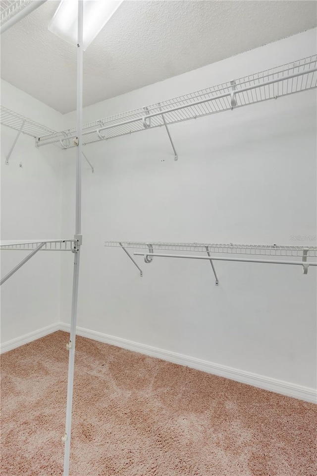 spacious closet with carpet flooring