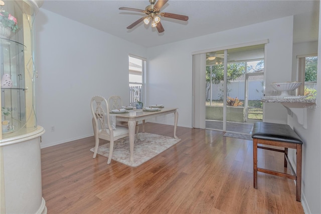 dining room with ceiling fan and light hardwood / wood-style flooring