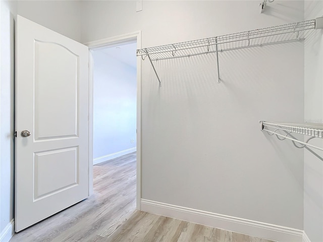 spacious closet with light wood-type flooring