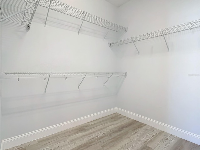 spacious closet featuring wood-type flooring