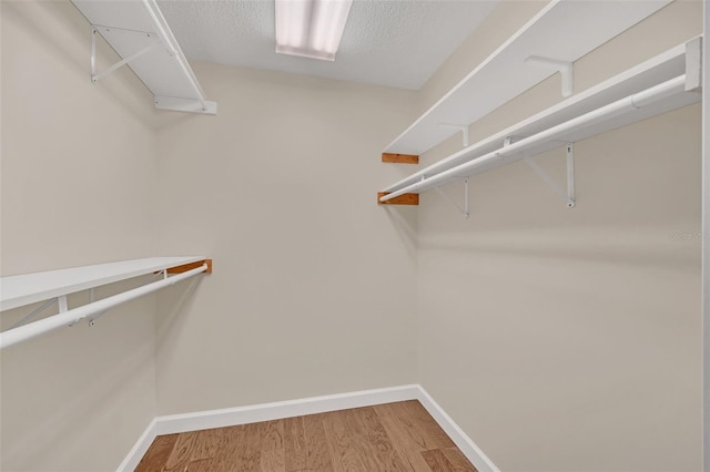 spacious closet featuring hardwood / wood-style floors