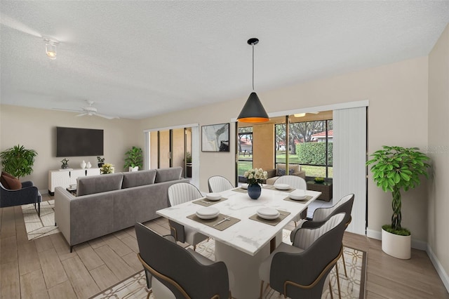 dining room featuring ceiling fan, light hardwood / wood-style floors, and a textured ceiling