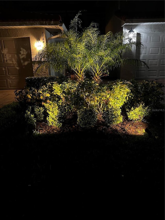 yard at night with a garage