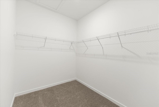 spacious closet with dark colored carpet
