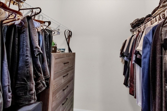 view of walk in closet