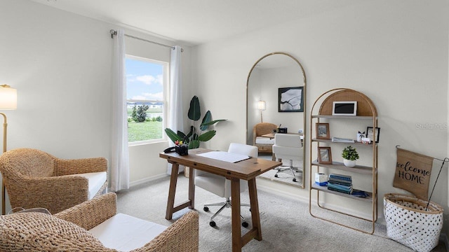 home office featuring light carpet