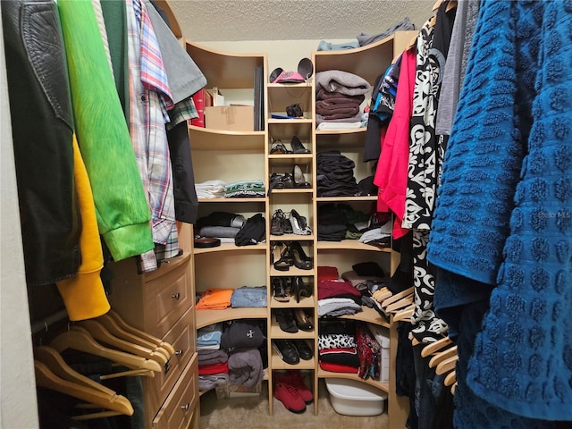 spacious closet featuring carpet