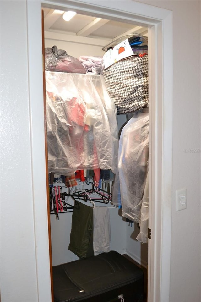 view of walk in closet