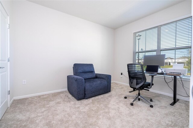 office space with light colored carpet