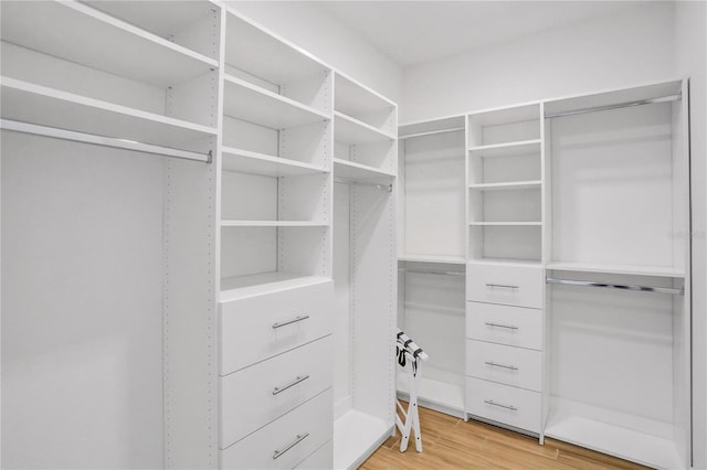 walk in closet featuring hardwood / wood-style flooring