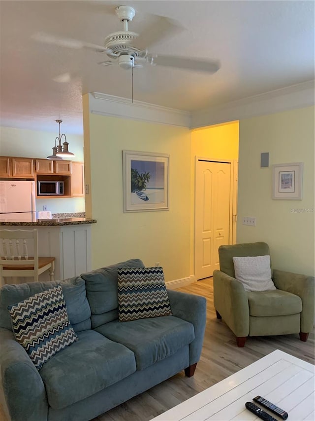 living room featuring crown molding, ceiling fan, and light wood-type flooring