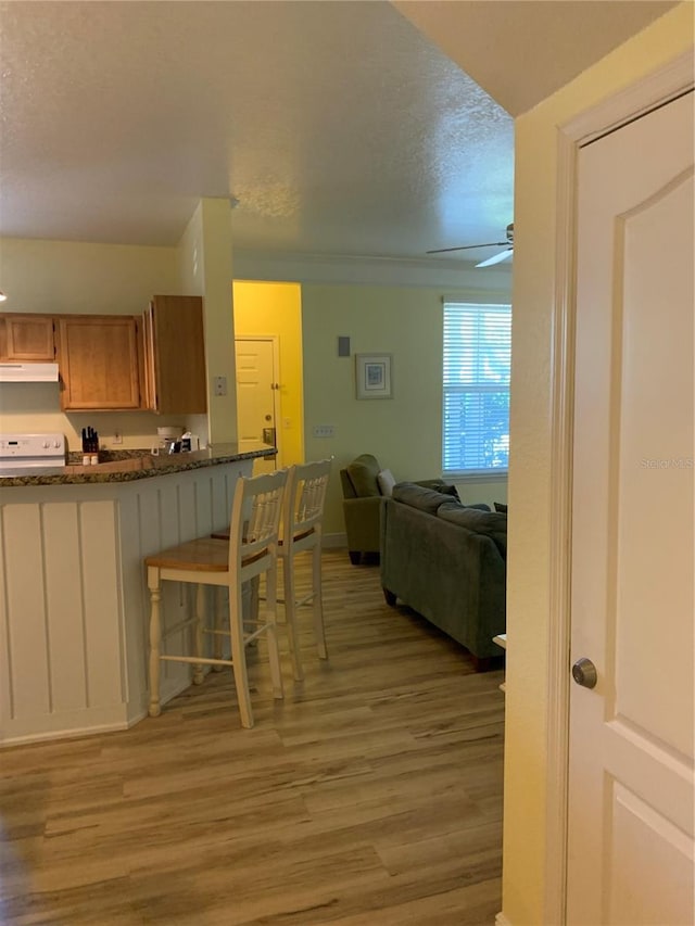 kitchen featuring ceiling fan, light hardwood / wood-style flooring, a textured ceiling, and range