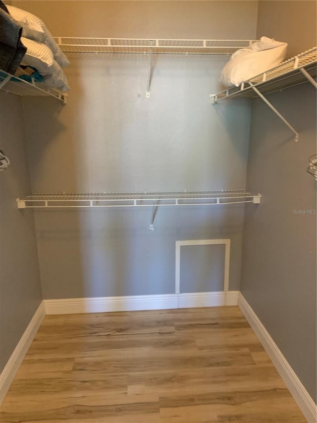 walk in closet featuring hardwood / wood-style flooring