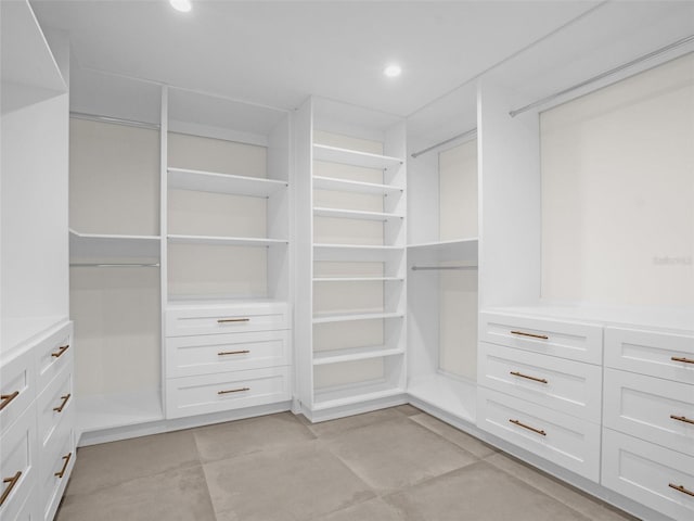 view of spacious closet