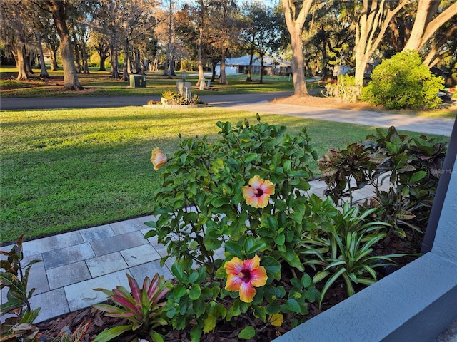 view of property's community featuring a lawn