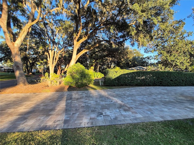 surrounding community with a patio area