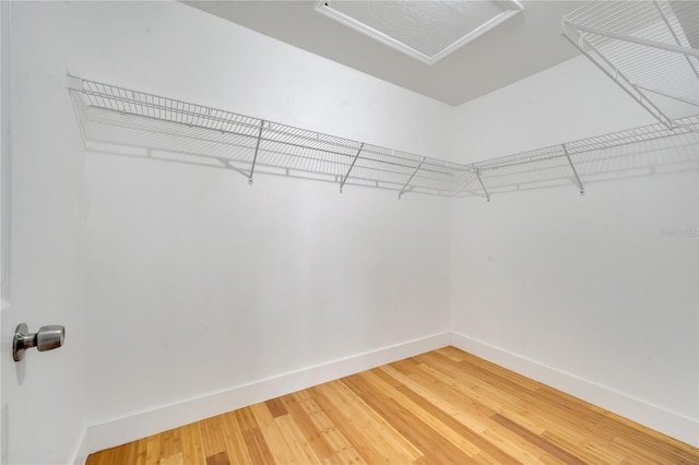 spacious closet featuring hardwood / wood-style floors