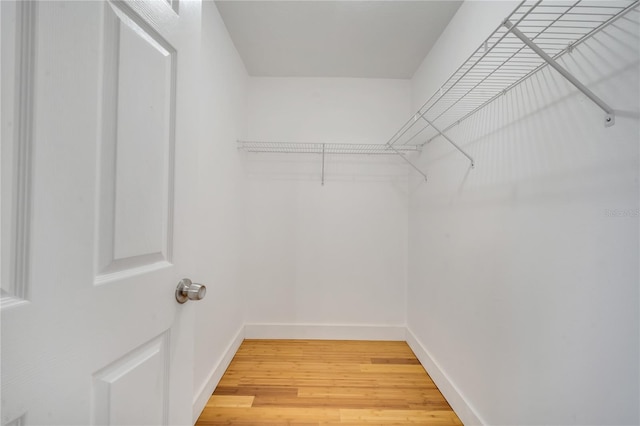 spacious closet featuring hardwood / wood-style floors