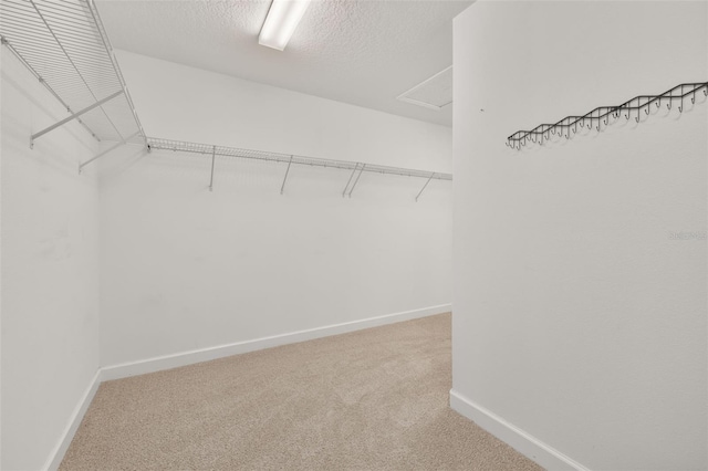 spacious closet with carpet flooring