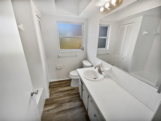 bathroom featuring vanity, toilet, and wood-type flooring