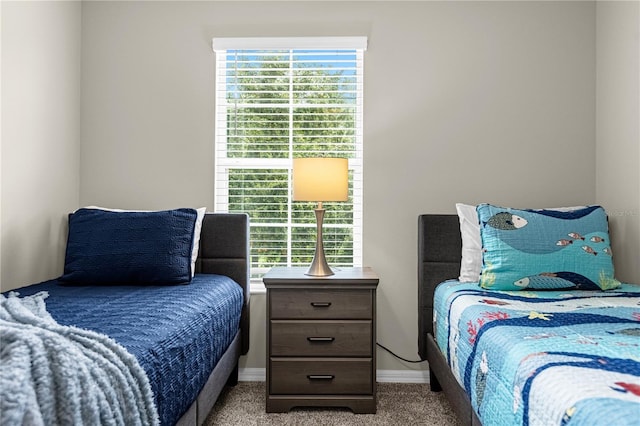 bedroom with carpet floors