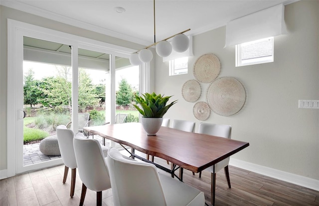 dining room with crown molding and hardwood / wood-style floors