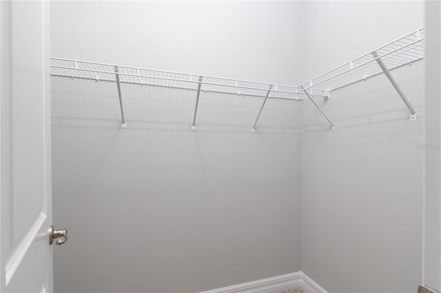 view of walk in closet