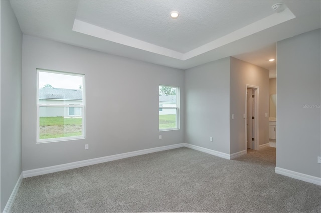 unfurnished room featuring light carpet, a textured ceiling, a raised ceiling, and baseboards