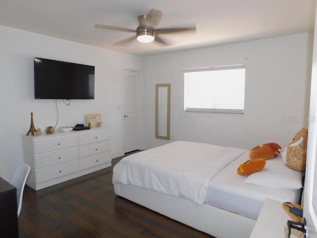 bedroom featuring dark hardwood / wood-style flooring, a closet, and ceiling fan