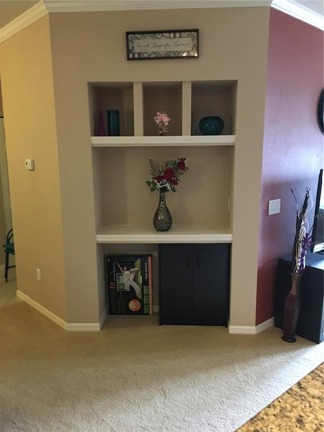 interior details with crown molding, built in features, and carpet