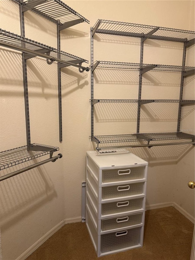 spacious closet featuring dark colored carpet