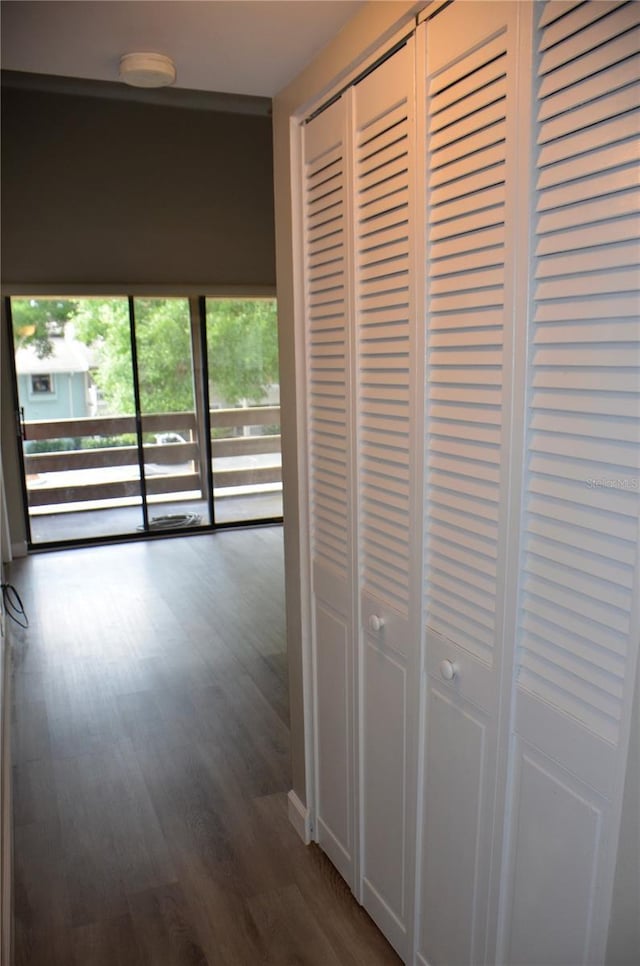 hall featuring dark wood finished floors