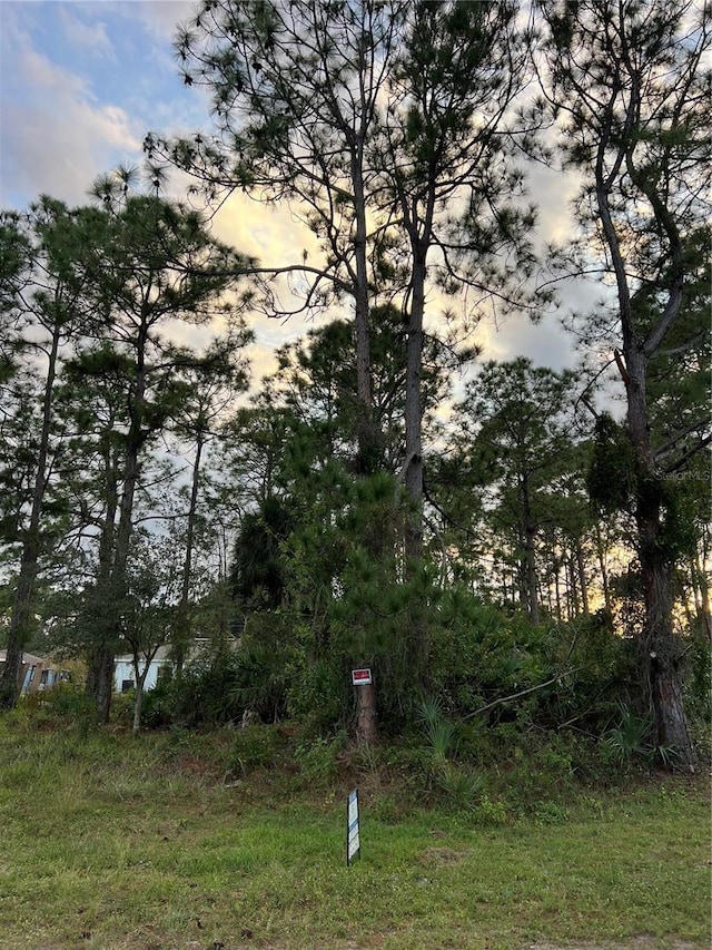 1292 Daton Rd SW, Palm Bay FL, 32908 land for sale