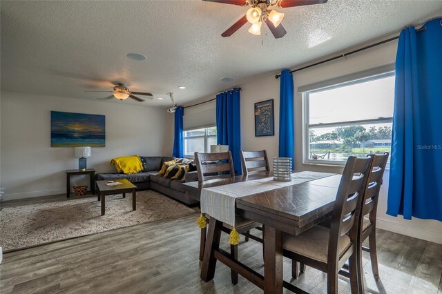 dining space featuring hardwood / wood-style floors, a textured ceiling, and ceiling fan