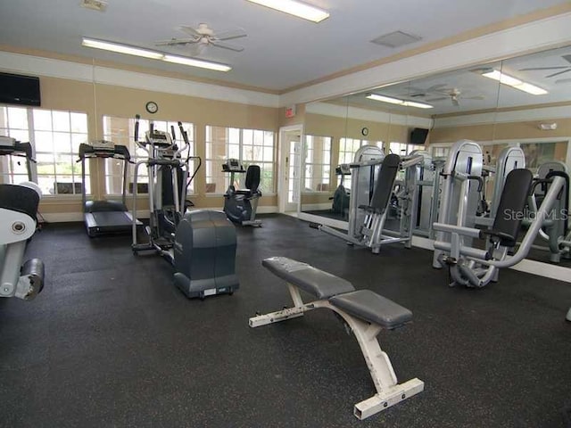 exercise room with ceiling fan and crown molding